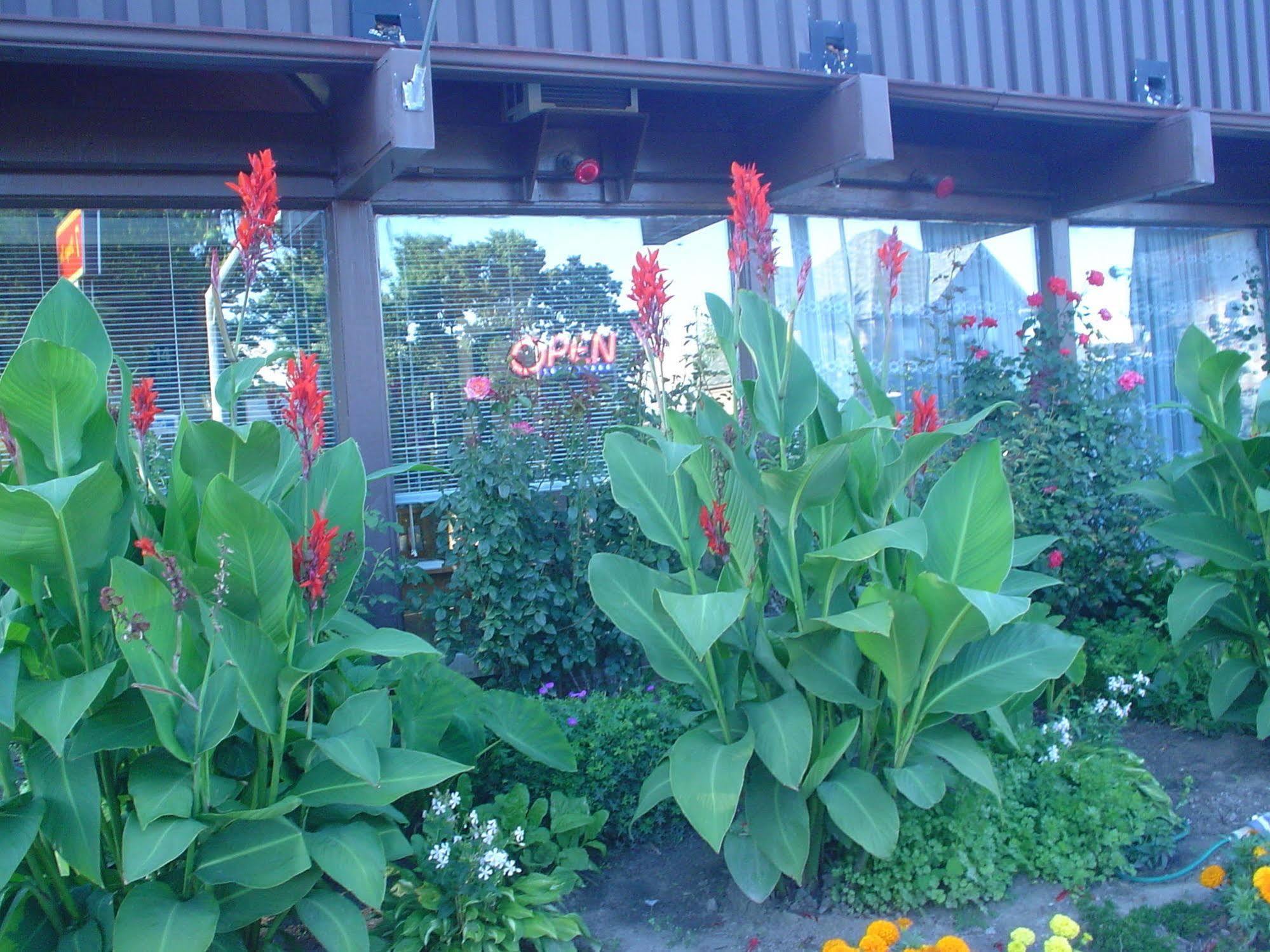 Motel Advance Niagara Falls